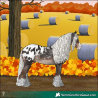 Horse Color:Liver Chestnut Mushroom Splash Blanket 