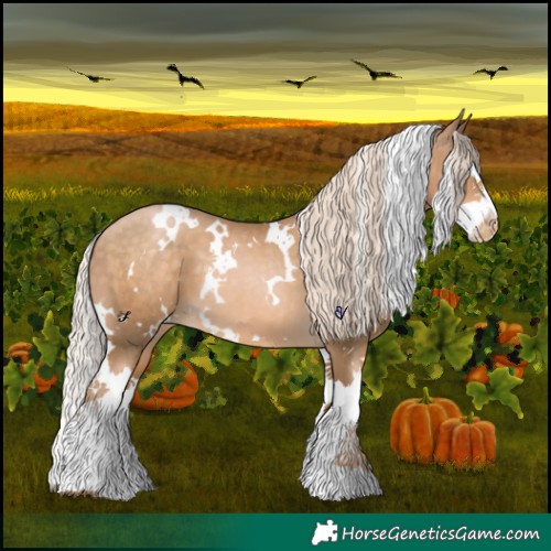 Horse Color:White Spotted Chocolate Palomino Pearl Splash 
