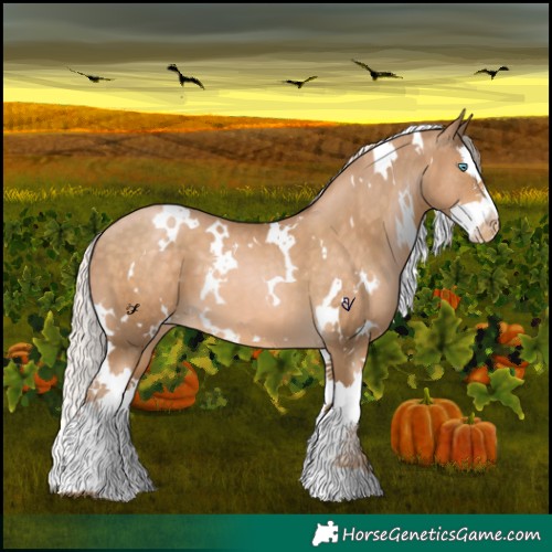 Horse Color:White Spotted Chocolate Palomino Pearl Splash 