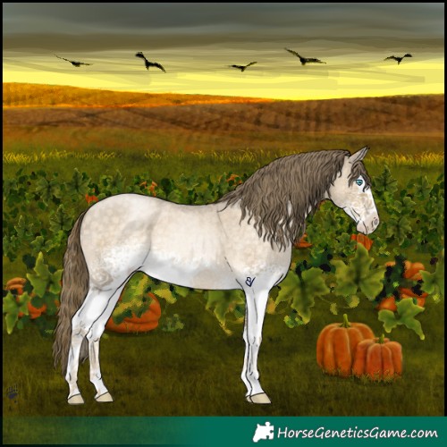 Horse Color:White Spotted Buckskin Roan Pearl Splash 