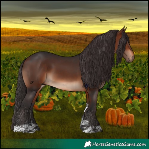 Horse Color:Brown Tobiano 