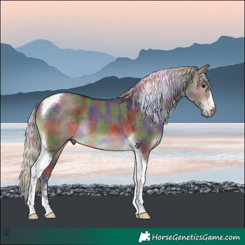 Horse Color:Nacre Silver Brown Dun Tobiano 