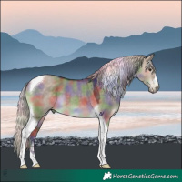 Horse Color:Nacre Silver Brown Dun Tobiano 