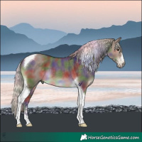 Horse Color:Nacre Silver Brown Dun Tobiano 