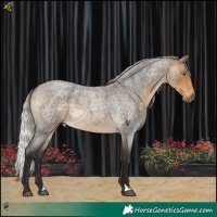 Horse Color:Silver Buckskin Roan 