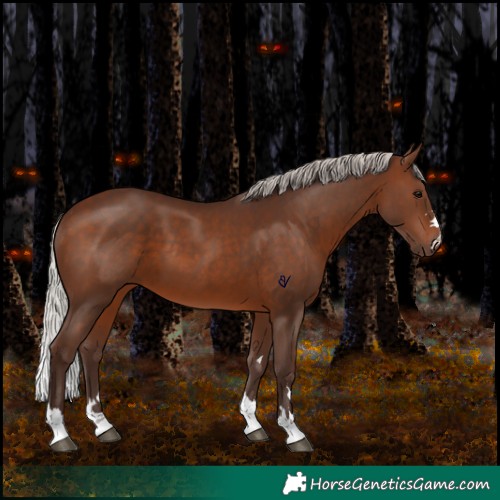 Horse Color:Silver Brown 