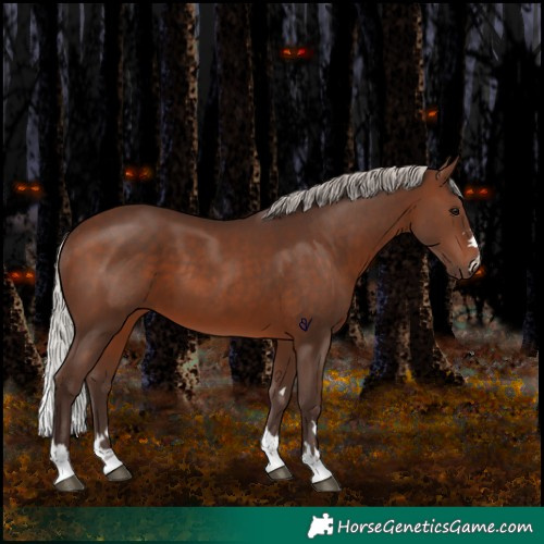 Horse Color:Silver Brown 