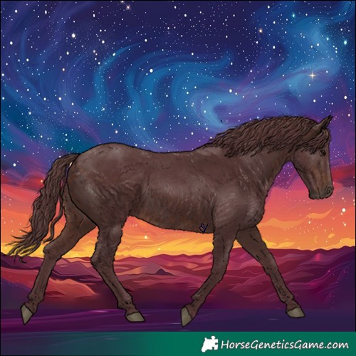 Horse Color:Chocolate Brown 