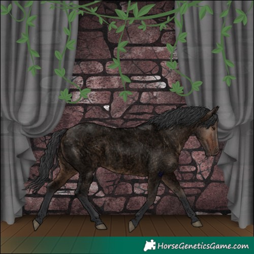 Horse Color:Void Brown Roan Dun Rabicano 
