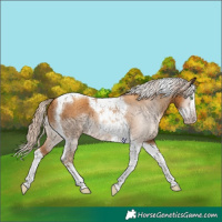 Horse Color:Gray Gold Cream Champagne Splash Tobiano Varnish 