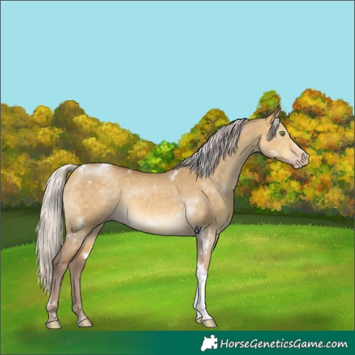 Horse Color:White Spotted Chocolate Silver Sable Cream Champagne Dun Tobiano 