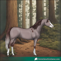 Horse Color:Chocolate Smoky Grullo Chinchilla Splash