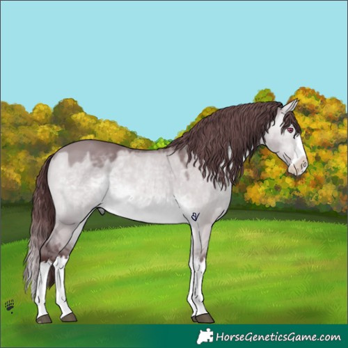 Horse Color:Chocolate Bay Chinchilla Dun Splash 