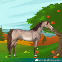 Horse Color:Chocolate Bay Roan Dun Splash