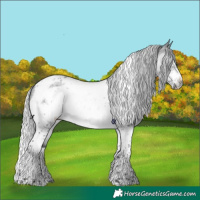 Horse Color:Silver Bay Chinchilla Tobiano Frame