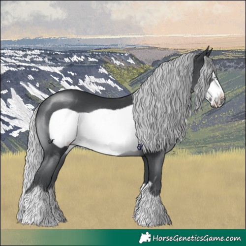 Horse Color:Silver Black Chinchilla Frame 