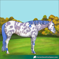Horse Color:Watercolor Brown Dun Splash Near Leopard 