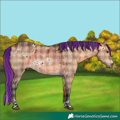 Horse Color:Painted Plaid White Spotted Brown Dun Brindle