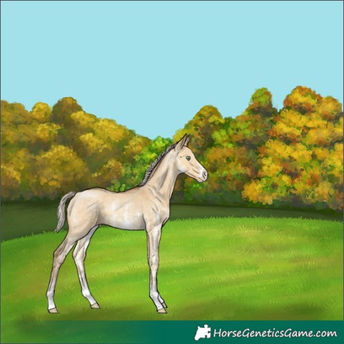 Horse Color:Chocolate Silver Sable Cream Champagne Dun Sabino 