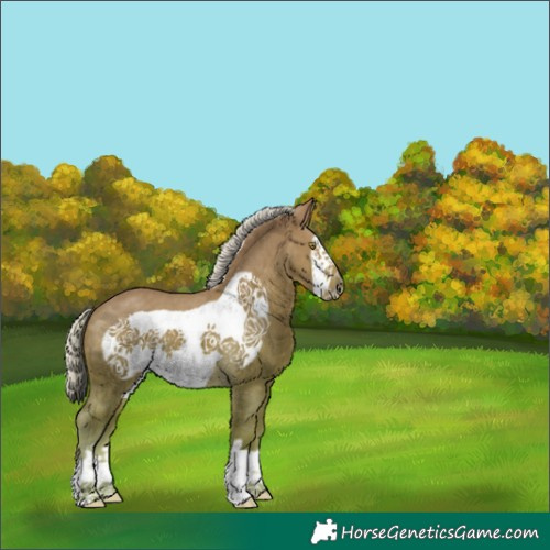 Horse Color:Palomino Frame 