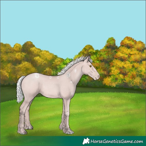 Horse Color:Platinum Silver Bay Pearl 