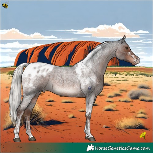 Horse Color:Liver Red Roan Mushroom Tobiano Appaloosa 