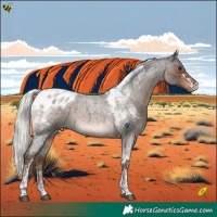 Horse Color:Liver Red Roan Mushroom Tobiano Blanket 