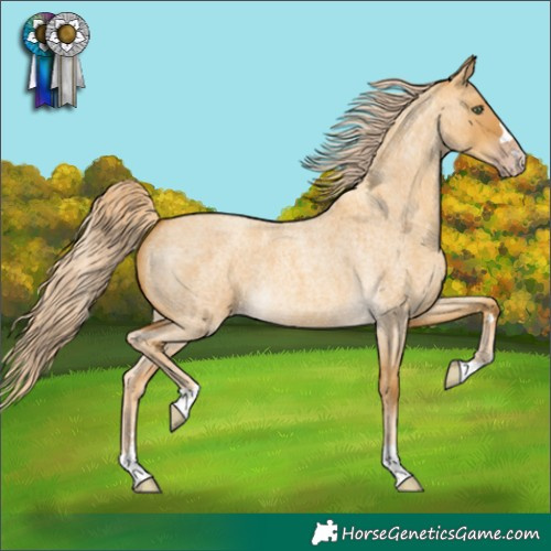 Horse Color:Gold Cream Champagne Roan Dun 