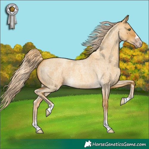 Horse Color:Gold Cream Champagne Roan Dun 