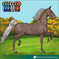 Horse Color:Silver Black Varnish 