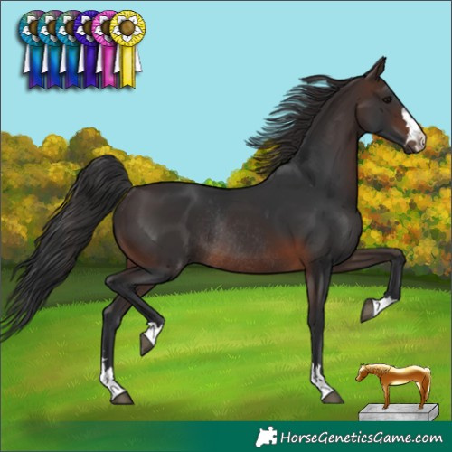 Horse Color:Brown Rabicano 