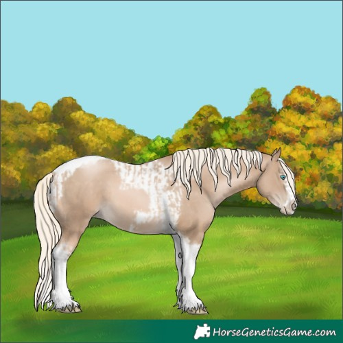 Horse Color:Chocolate Palomino Pearl Tobiano Frame and Chocolate Palomino Pearl Splash Tobiano Frame