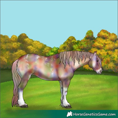 Horse Color:Powder White Nacre White Spotted Red Onyx 