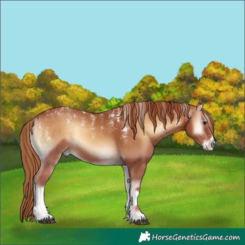 Horse Color:Powder White White Spotted Red Onyx 