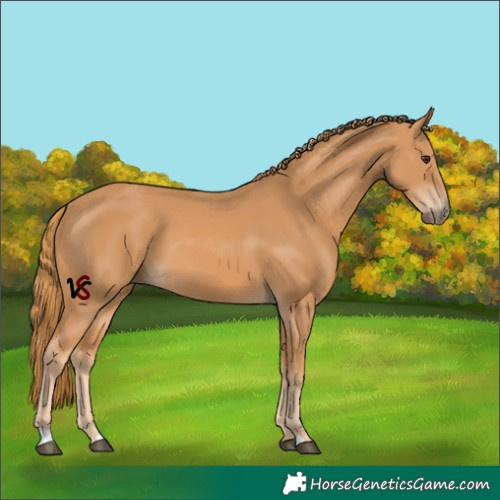 Horse Color:Unknown 