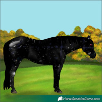 Horse Color:ERROR: UNKNOWN ANOMALY