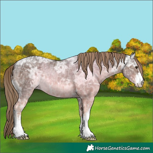 Horse Color:White Spotted Liver Chestnut Ice 