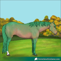 Horse Color:Watercolor Brown Sabino 