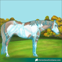 Horse Color:Thunderstruck White Spotted Liver Chestnut Pearl Frame