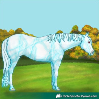 Horse Color:Thunderstruck White Spotted Sable Cream Champagne Chinchilla Dun Splash Appaloosa 