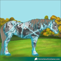 Horse Color:Thunderstruck Liver Chestnut Ice 