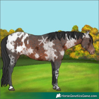 Horse Color:Brown Ice Blanket 