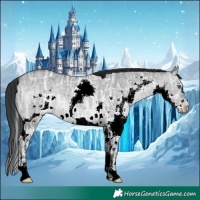 Horse Color:Brown Chinchilla Ice Dun Sabino Splash 