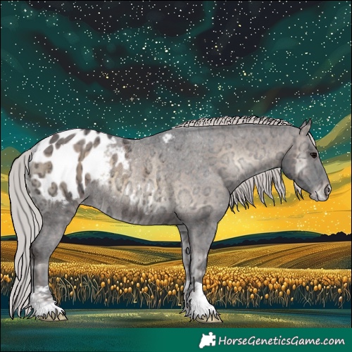 Horse Color:Silver Brown Ice Onyx Appaloosa Rabicano 