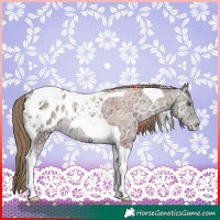 Horse Color:Chocolate Blue Onyx Ice Snowdrop Tobiano Blanket Rabicano