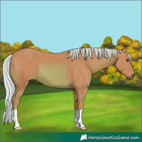 Horse Color:Watercolor Chestnut 