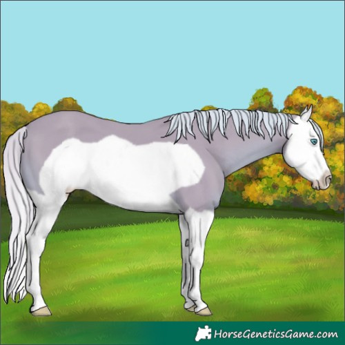 Horse Color:Watercolor Chestnut Splash Frame 
