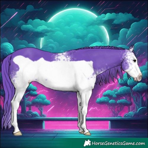 Horse Color:Watercolor White Spotted Black Frame 