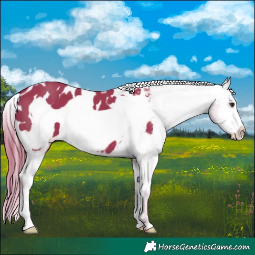 Horse Color:Watercolor Liver Chestnut Frame Blanket 