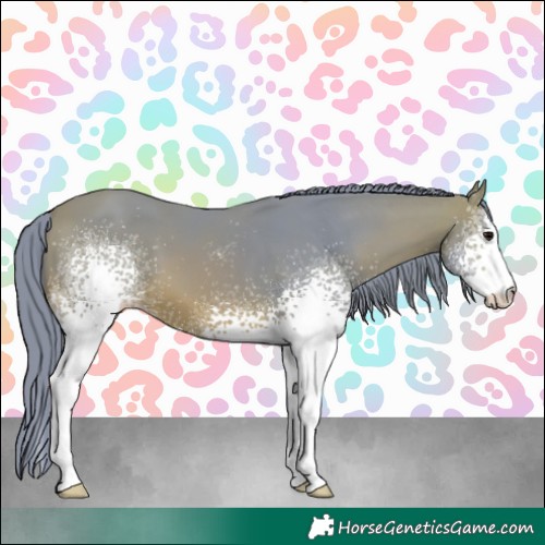 Horse Color:Watercolor White Spotted Bay 